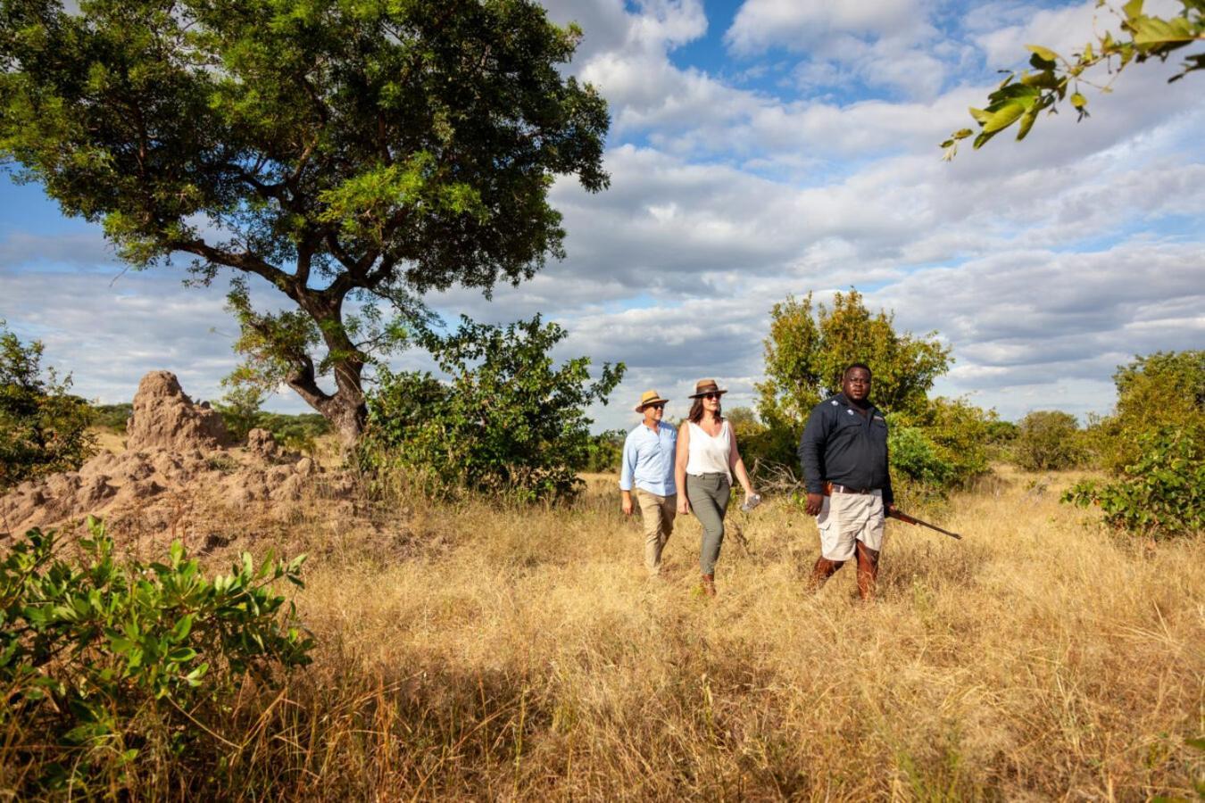 Leopard Hills Private Game Reserve Sabi Sand Vadrezervátum Kültér fotó
