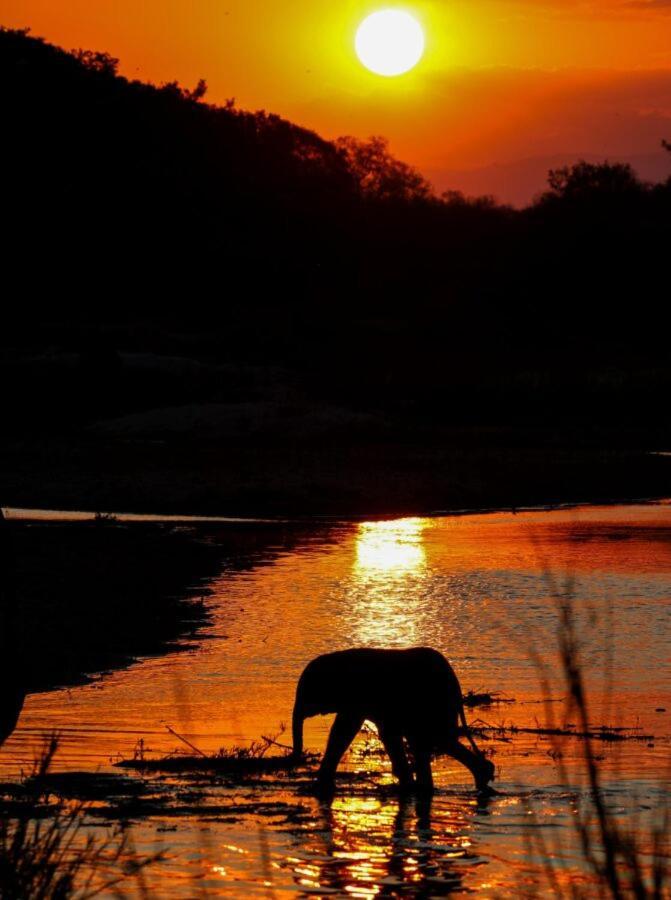 Leopard Hills Private Game Reserve Sabi Sand Vadrezervátum Kültér fotó